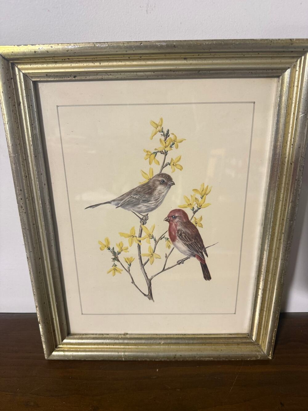 Framed Vintage Botanical Art Print Two Finches on a Flowering Branch 15X12"